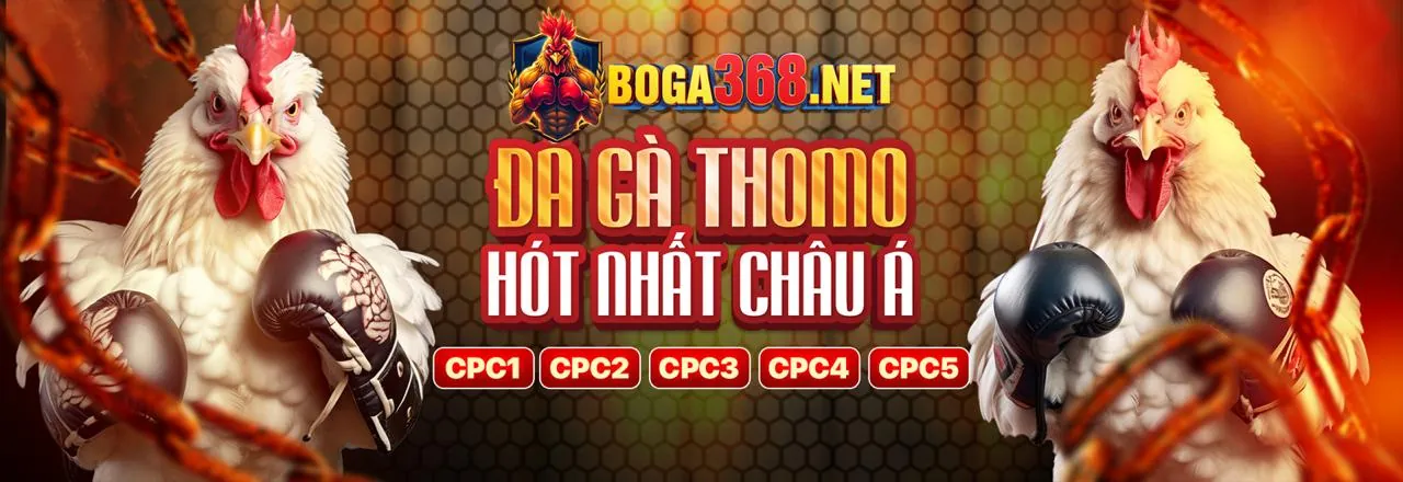 Đá Gà Trực Tuyến x88 pro
